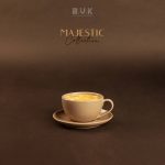 فنجان لته تک BVK بی وی کی 300 میل مدل Majestic کد VK452714